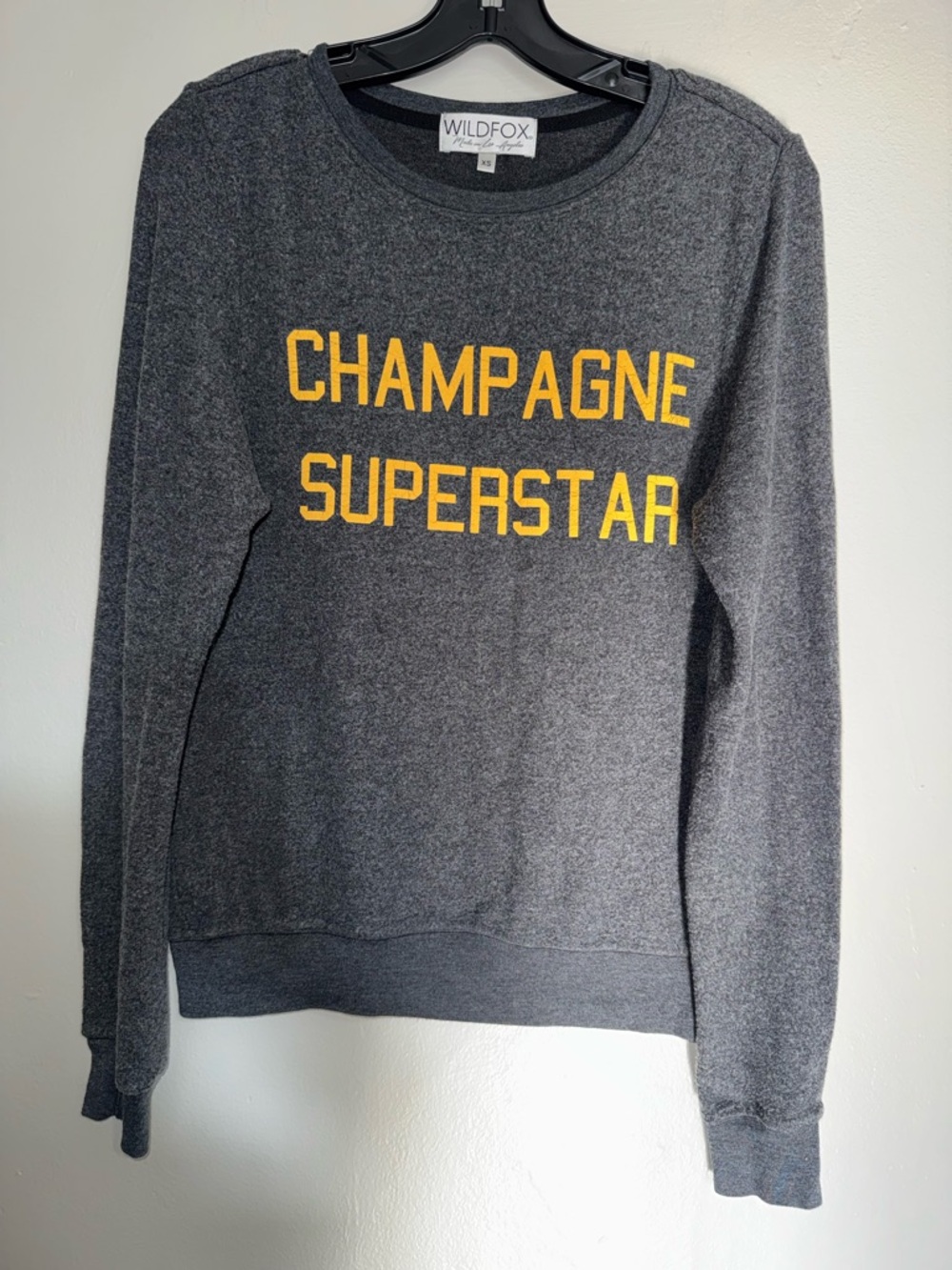 Wildfox Champagne Superstar Sweatshirt in Charcoal Gray - Picture 2 of 9